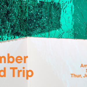 Amelia Toelke Member Field Trip Studio Visit