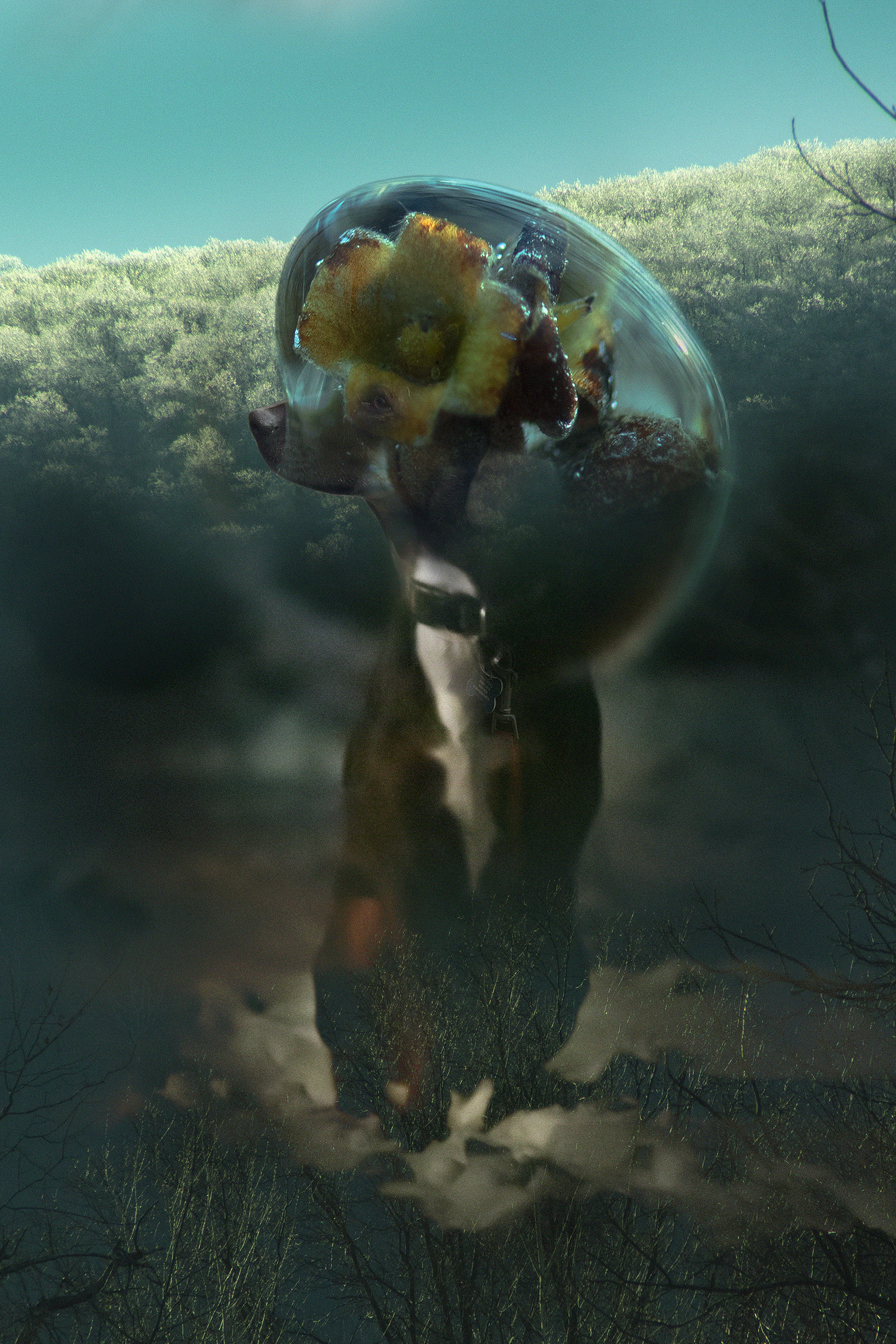 CREATE Council on the Arts - Jody Borhani-DAmico-photograph with digital art-Bud In Ice_2964
